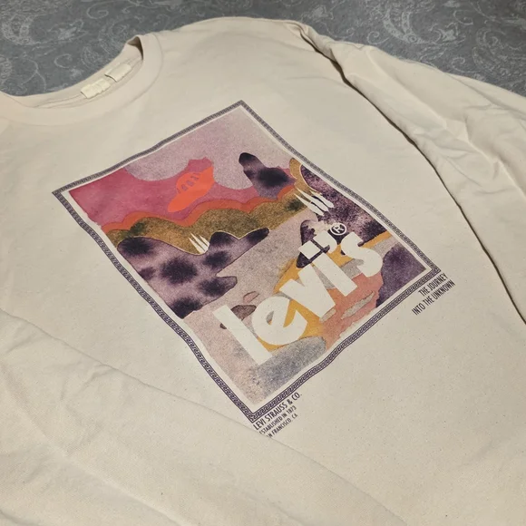 Levi's Graphic Crew in Cream and Pink (Size S, Oversized) - Picture 1 of 7